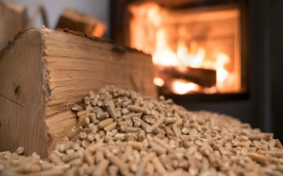 Efficiency and Eco-Friendliness: Exploring Our Pellet Heaters for Modern Heating Solutions